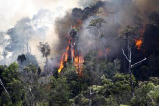 WebGIS Kementerian Lingkungan Hidup dan Kehutanan (KLHK) WebGIS Kementerian Lingkungan Hidup dan Kehutanan (KLHK)