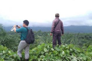 Hasil Riset IUCN, Kelapa Sawit 9 Kali Lebih Efisien dalam Penggunaan Lahan Hasil Riset IUCN, Kelapa Sawit 9 Kali Lebih Efisien dalam Penggunaan Lahan