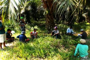 Lewat Dukungan Dana Sawit Dari BPDP-KS, 4.529 Petani Peroleh Pelatihan