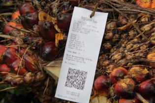 Kelapa Sawit Semakin Berkelanjutan dengan Revolusi Industri 4.0