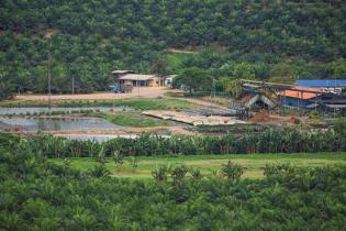 Generating Electricity from Biogas of Palm Oil Mill Effluent, Why Not?