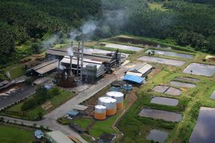 eKomoditi Implementasikan IoT dan AI di Pabrik Kelapa Sawit eKomoditi Implementasikan IoT dan AI di Pabrik Kelapa Sawit